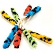 Tiger Battle Swab